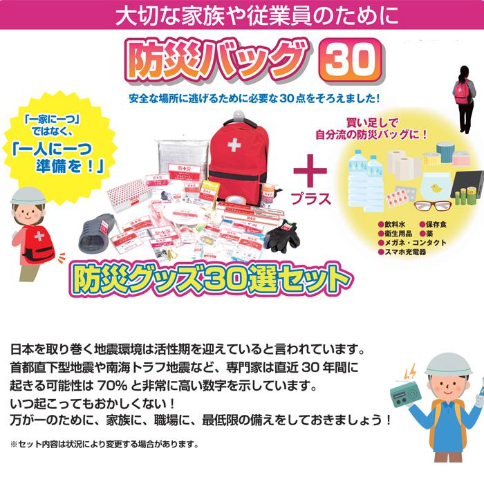 防災バッグ 30点 防災士監修 一次避難用 災害対策30点セット 1人
