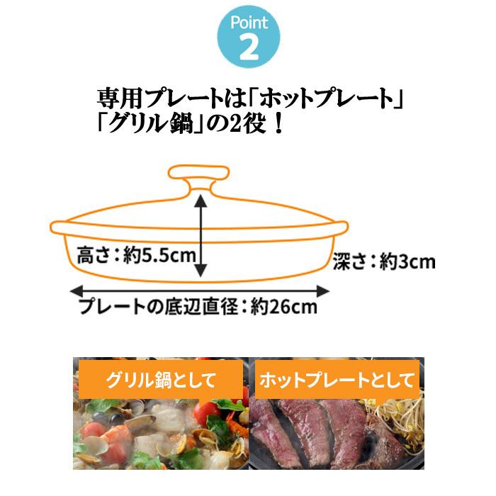 Iwatani（イワタニ） 岩谷産業 IWATANI CB-BST-3 カセットフー