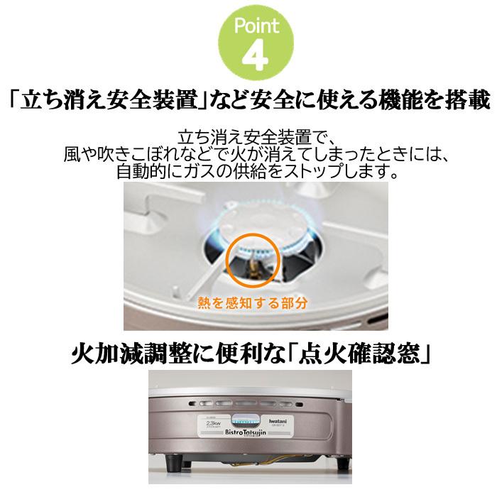Iwatani（イワタニ） 岩谷産業 IWATANI CB-BST-3 カセットフー