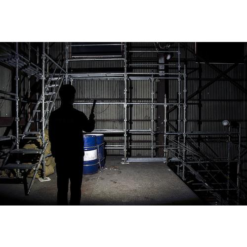 GENTOS（ジェントス） GZ-223 作業灯 LED ワークライト ハンディタイプ