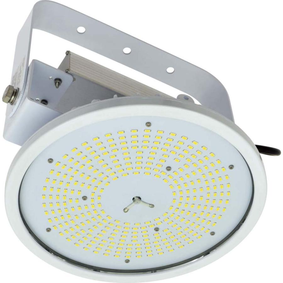 日動工業 (送料無料) L100V2-P-HW-50K-N ハイディスク 100W