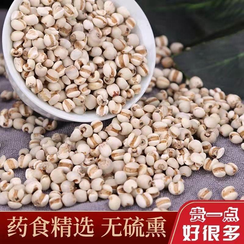 ハト麦 意仁米 意米仁 （ ヨクイニン ）300g : 楽々オーター - 通販 - Yahoo!ショッピング