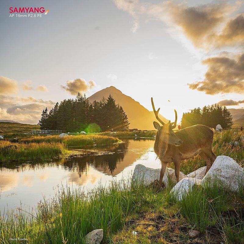 送料無料（一部地域を除く）】 SAMYANG 単焦点広角レンズ AF 18mm F2.8