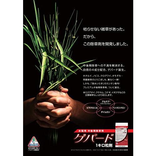 日産化学 水稲用中後期除草剤 ゲパード1キロ粒剤 1kg A B0725cnnn4 2524 らくらく生活 通販 Yahoo ショッピング