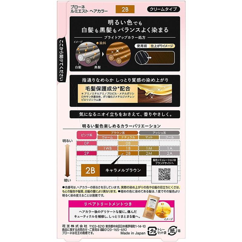 ★まとめ買い★　花王　ブローネ　ルミエスト　ヘアカラー　２Ｂ　キャラメルブラウン　108ｇ　×24個【イージャパンモール】 ブローネ 花王 ルミエストヘアカラー クリーム 2B キャラメルブラウン