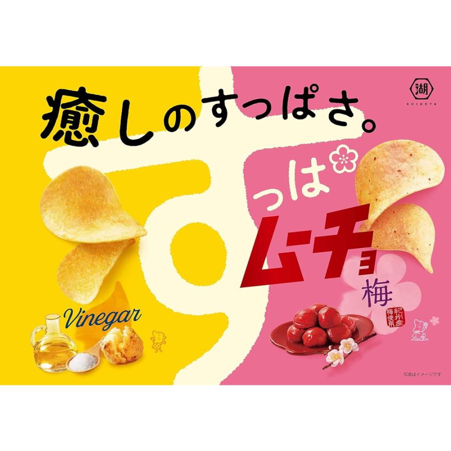 湖池屋 コイケヤ すっぱムーチョ じゃがうまビネガー 55g×12袋 箱買い お菓子 スナック菓子 ポテトチップス ポテチ｜rakushindenki｜03