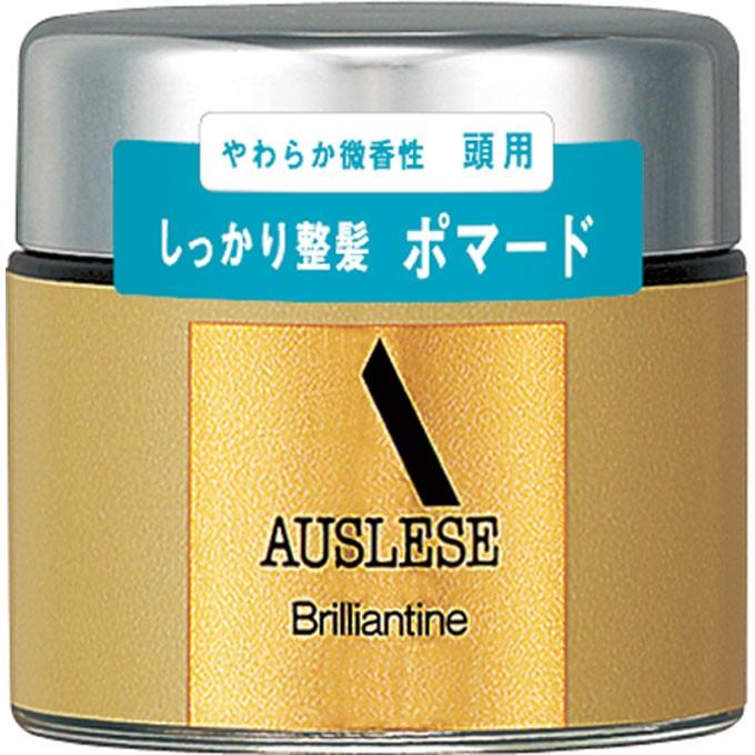 【新品・未使用】資生堂　アウスレーゼ ブリランチンN 80g おまけ付き SHISEIDO（資生堂） アウスレーゼ ブリランチンN 80g : 東京生活館
