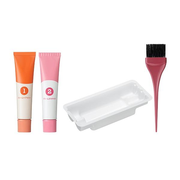 SHISEIDO（資生堂） クリームヘアカラーN N5 自然な栗色 : 東京生活館