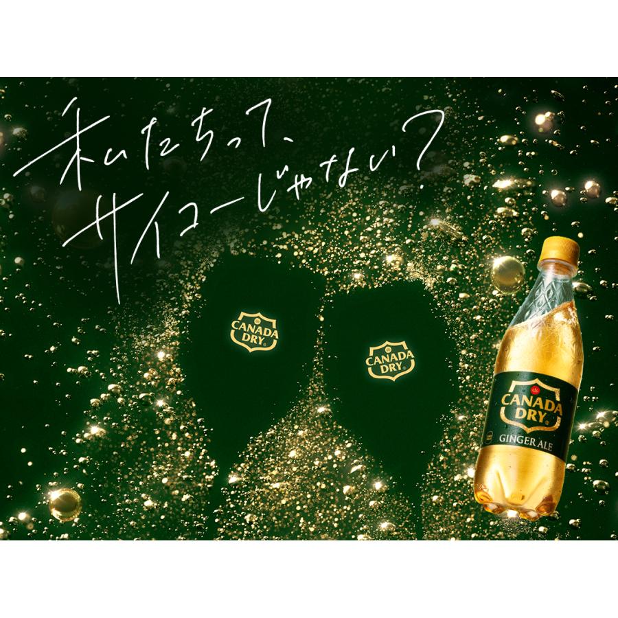 カナダドライ ジンジャーエール 160ml 缶 30本入×1ケース 送料無料