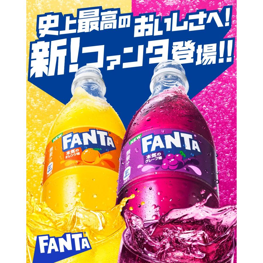 ファンタ オレンジ 500ml ペットボトル 48本（24本入×2ケース） 送料