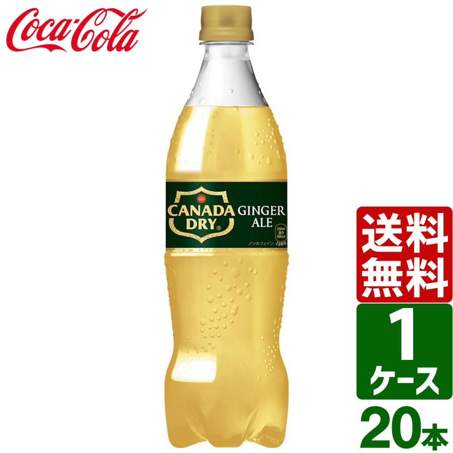 カナダドライ エントリーで最大+15% ジンジャーエール 700ml PET 1