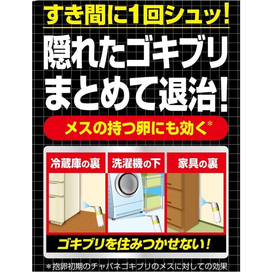 フマキラー ゴキブリワンプッシュプロ 80回分 20ml : 4902424448788