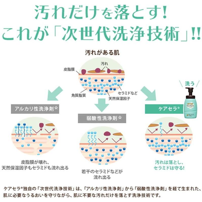 ケアセラ ロート製薬 泡の高保湿ボディウォッシュ ボタニカルフラワー