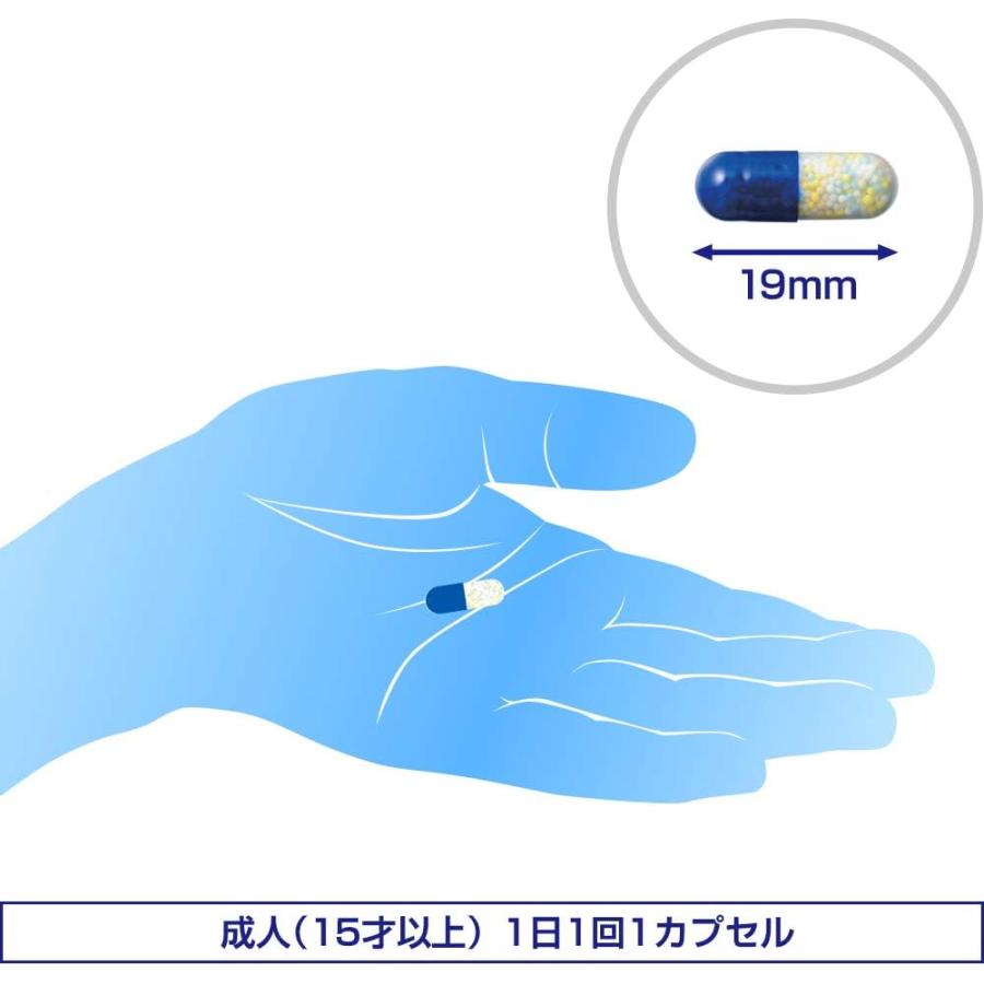 （指定第2類医薬品）エスエス製薬 アネロン ニスキャップ 10カプセル 10回分 酔い止め 乗物酔い｜rakushindenki｜08