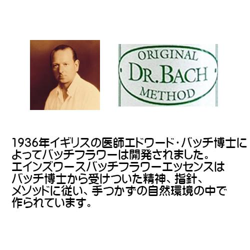 まとめてお得！正規輸入品エインズワース バッチフラワーエッセンス40