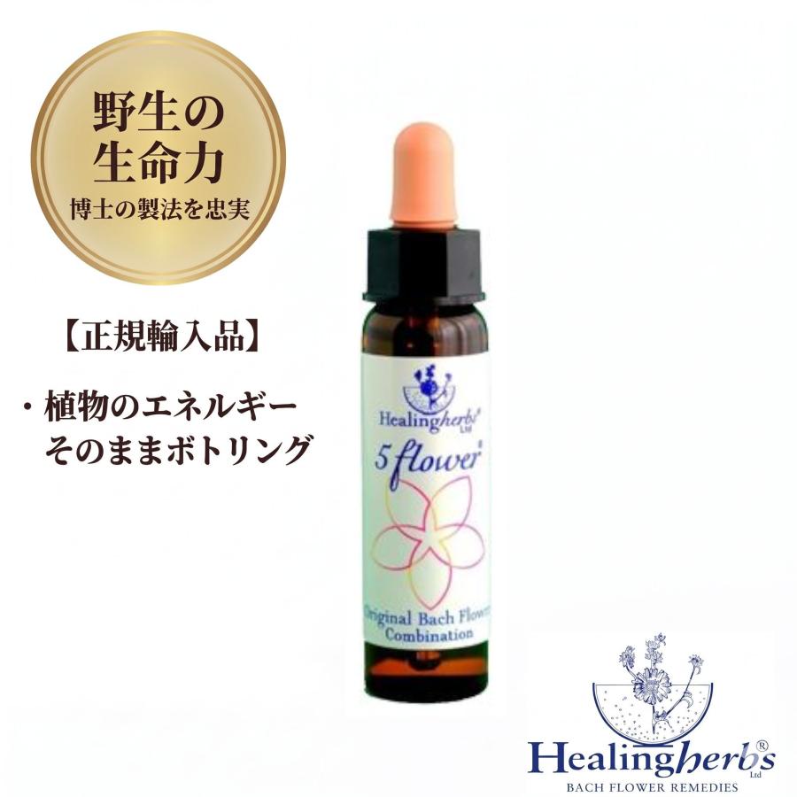 ファイブフラワーレメディエッセンス10ml Five Flower ヒーリング