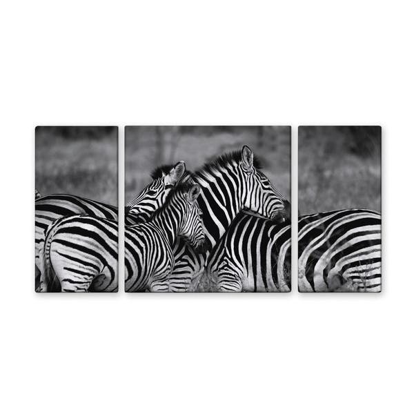 アート アートパネル 写真 3枚セット 大型 100×50cm 壁掛け キャンバス インテリア 風景 シマウマ 動物 白黒 モノトーン