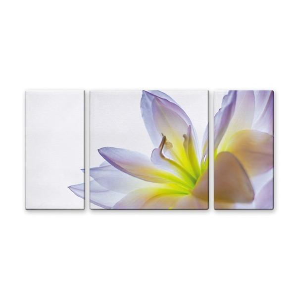 アート アートパネル 写真 3枚セット 大型 100×50cm 壁掛け キャンバス 3分割 インテリア 風景 情景 lily ユリ 花