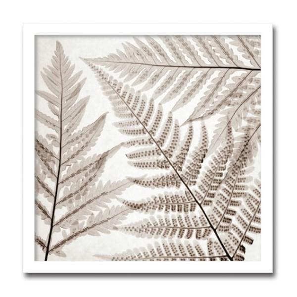 アート アートパネル アートSteven N. Meyers X-Ray フラワー 花 壁掛 インテリア おしゃれ FernsIII 65x65cm