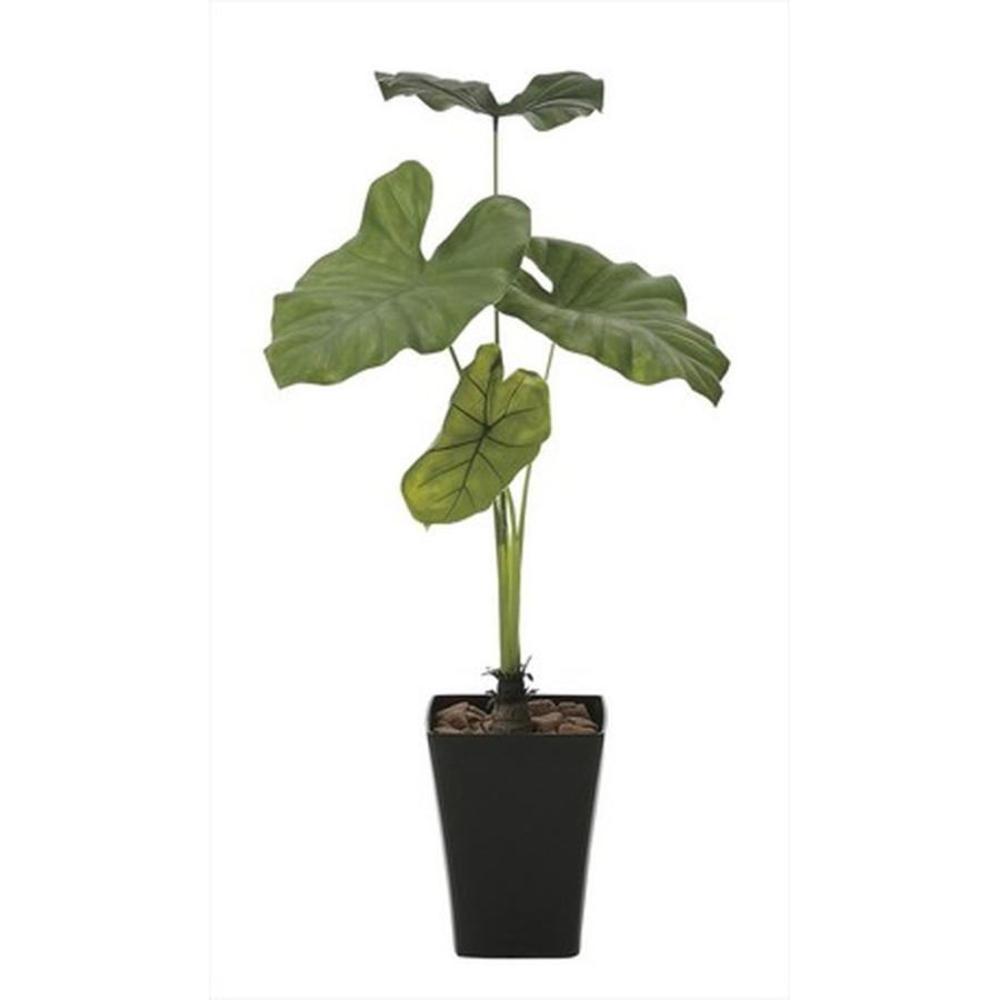 特価イラスト 人工観葉植物 フェイクグリーン 枯れない リアル 空気清浄 消臭 防菌 ホルムアルデヒド除去 タロリーフ 高さ90cm Igitem066 楽装屋 通販 Yahoo ショッピング クリアランス販売中 Mbazaar Pl