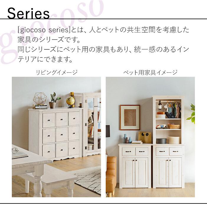 サカベ コレクションラック コレクションケース コレクション サカベ コレクションラック コレクションケース コレクション