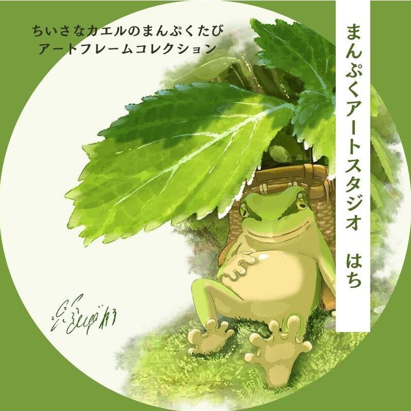 アート アートパネル かえる 大型 サイン証明書付 カエル インテリア まんぷくアートスタジオ はち あたま隠しておしり隠せず 525x525mm_1