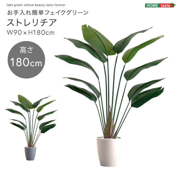 人工観葉植物 インテリアグリーン ストレリチア フェイクグリーン リアル 精巧 観葉植物 高さ180cmの画像