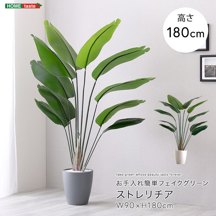 人工観葉植物 インテリアグリーン ストレリチア フェイクグリーン リアル 精巧 観葉植物 高さ180cmの画像