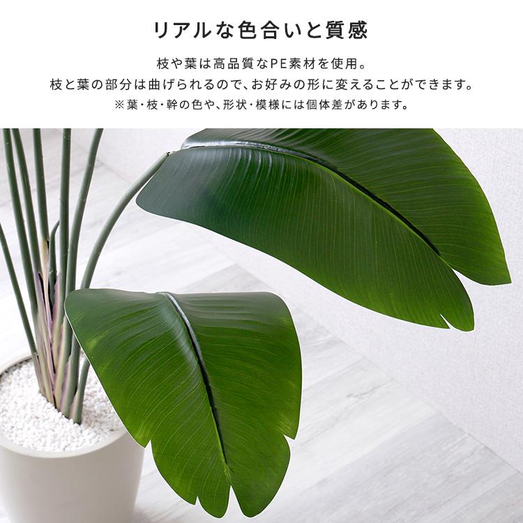人工観葉植物 インテリアグリーン ストレリチア フェイクグリーン リアル 精巧 観葉植物 高さ180cmの画像