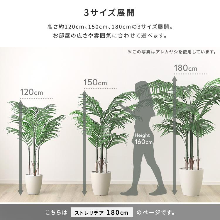 人工観葉植物 インテリアグリーン ストレリチア フェイクグリーン リアル 精巧 観葉植物 高さ180cmの画像