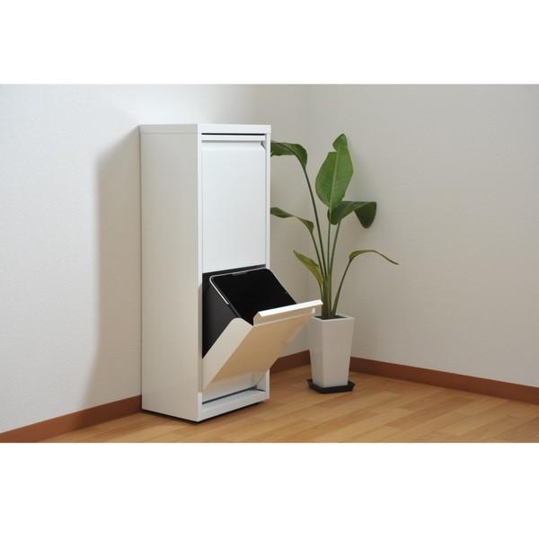 本店は ごみ箱収納 分別 台所用ゴミ箱 生ごみ フラップ式ダストbox 2分別 収納 キッチン ダイニング ラック 棚 スリム コンパクト 省スペース 新しいコレクション Aleefsurgical Com