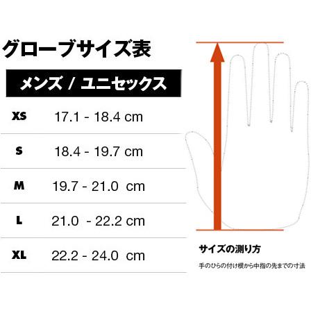 ブラックダイヤモンド（Black Diamond） パニシャーグローブ BD71547