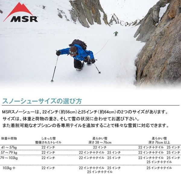 MSR（マウンテンセーフティーリサーチ） MSR EVO アッセント