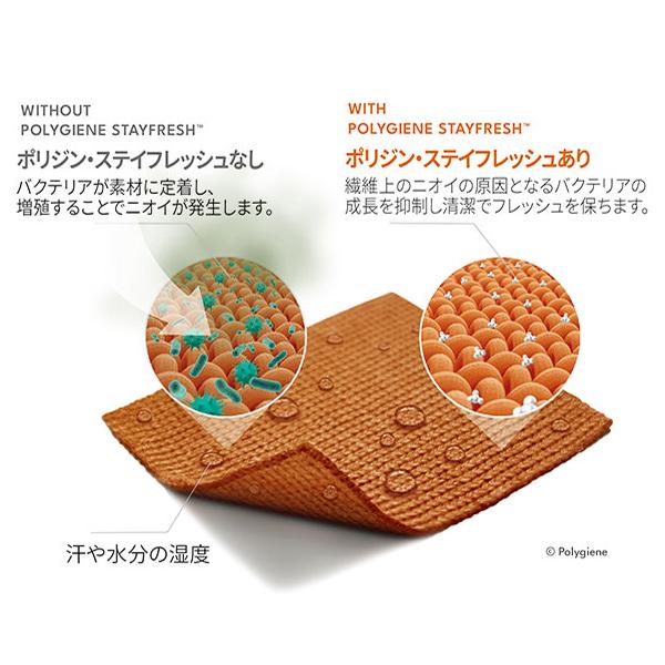 THE NORTH FACE(ノースフェイス) 【SUMMITシリーズ】Expedition Dry Dot Bikini Short(エクスペディションドライドットビキニショーツ) NUW12520 | THE NORTH FACE | 06
