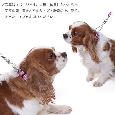 犬 首輪 しつけ ラロック アミット しつけに便利おしゃれなハーフチェーンカラー Sサイズ 小型犬用しつけ首輪 メール便のみ送料無料 |  | 12