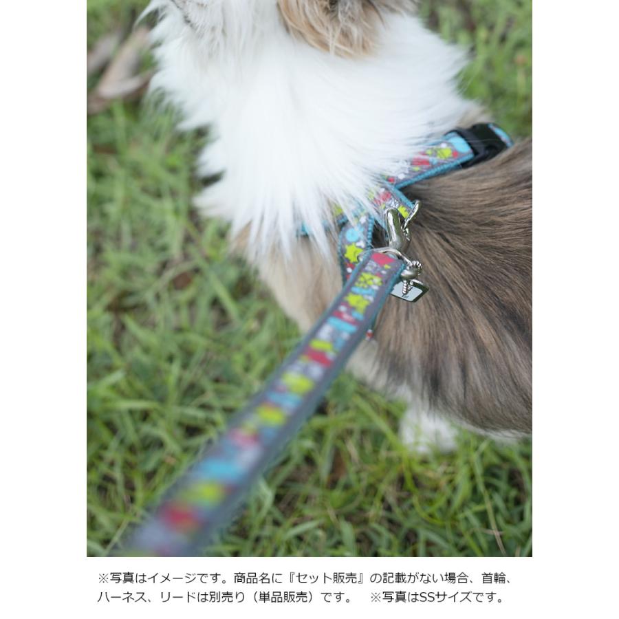 犬 リード おしゃれ ラロック アミット リボンとテープ素材のリード Mサイズ 中型犬用リード メール便のみ送料無料 |  | 25