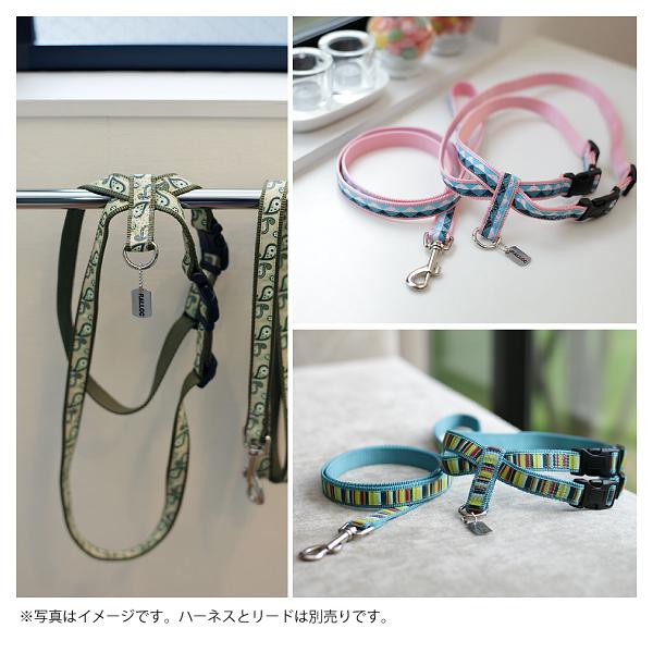 犬 リード おしゃれ ラロック アミット リボンとテープ素材のリード Lサイズ 大型犬用リード メール便のみ送料無料 ギフト包装可 ラロックショップ Yahoo 店 通販 Yahoo ショッピング