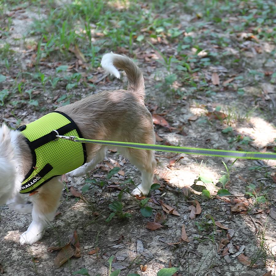 犬 リード ラロック 伸縮リード用 反射付きエクステンションリード 短引き Sサイズ 小型犬用リード メール便のみ送料無料 |  | 16