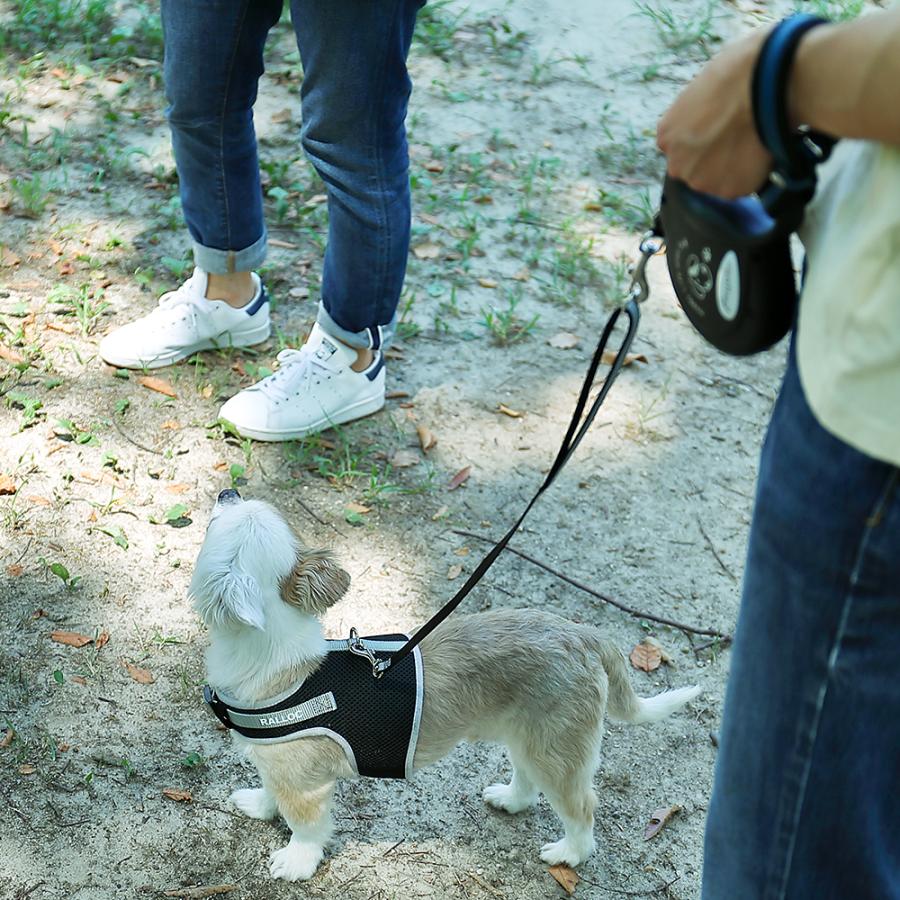 犬 リード ラロック 伸縮リード用 反射付きエクステンションリード 短引き Mサイズ 中型犬用リード メール便のみ送料無料 |  | 17