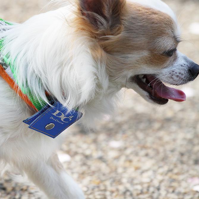 犬 迷子札 ラロック RALLOC 犬用 鑑札入れ 反射ロゴ付きカラーポーチ メール便のみ送料無料 |  | 10