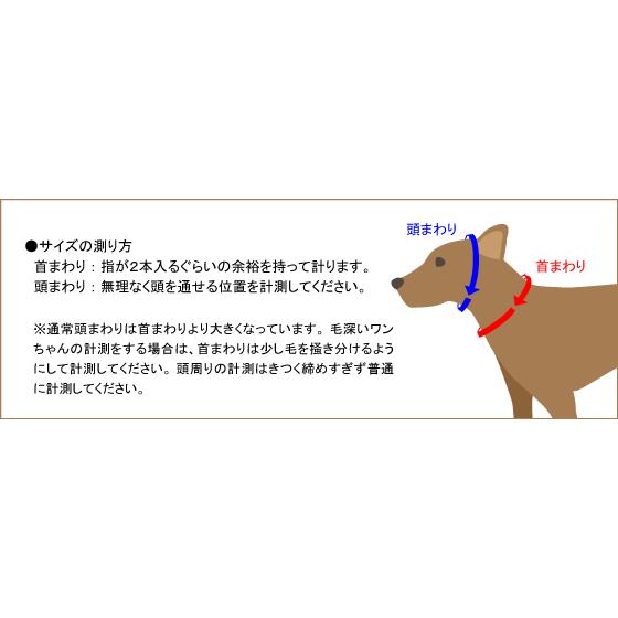 最大63 オフ 犬 首輪 しつけ ラロック アミット しつけに便利おしゃれなハーフチェーンカラー 02 Lサイズ 大型犬用しつけ首輪 メール便のみ送料無料 ギフト包装可 Aynaelda Com