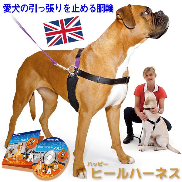 引っ張り防止 犬 ハーネス ラロック ハッピーヒールハーネス 愛犬の引っ張りを止めるトレーニングハーネス リード&DVD付き メール便不可 ギフト包装可 :72140315:ラロックショップ Yahoo!店 - 通販 - Yahoo!ショッピング 引っ張り防止 犬 ハーネス ラロック ハッピーヒールハーネス 愛犬の引っ張りを止めるトレーニングハーネス リード&DVD付き メール便不可 ギフト包装可 :72140315:ラロックショップ Yahoo!店 - 通販 - Yahoo!ショッピング
