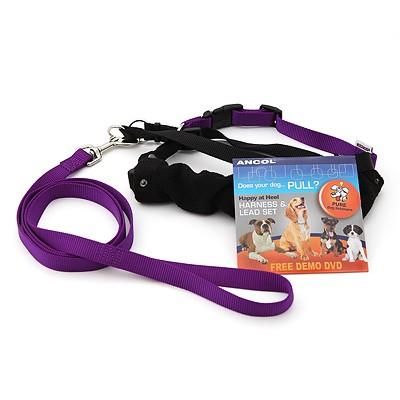 引っ張り防止 犬 ハーネス ラロック ハッピーヒールハーネス 愛犬の引っ張りを止めるトレーニングハーネス リード＆DVD付き メール便不可 |  | 05