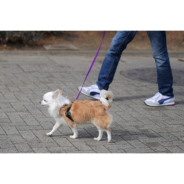 引っ張り防止 犬 ハーネス ラロック ハッピーヒールハーネス 愛犬の引っ張りを止めるトレーニングハーネス リード＆DVD付き メール便不可 |  | 14