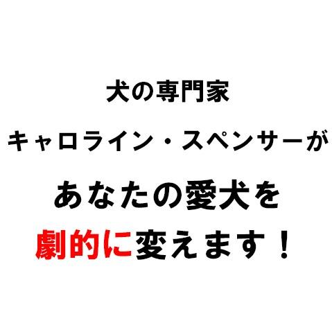 引っ張り防止 犬 ハーネス ラロック ハッピーヒールハーネス 愛犬の引っ張りを止めるトレーニングハーネス リード＆DVD付き メール便不可 |  | 08