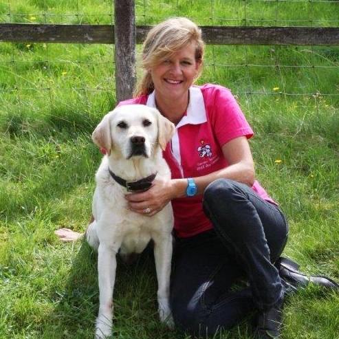 引っ張り防止 犬 ハーネス ラロック ハッピーヒールハーネス 愛犬の引っ張りを止めるトレーニングハーネス リード＆DVD付き メール便不可 |  | 09