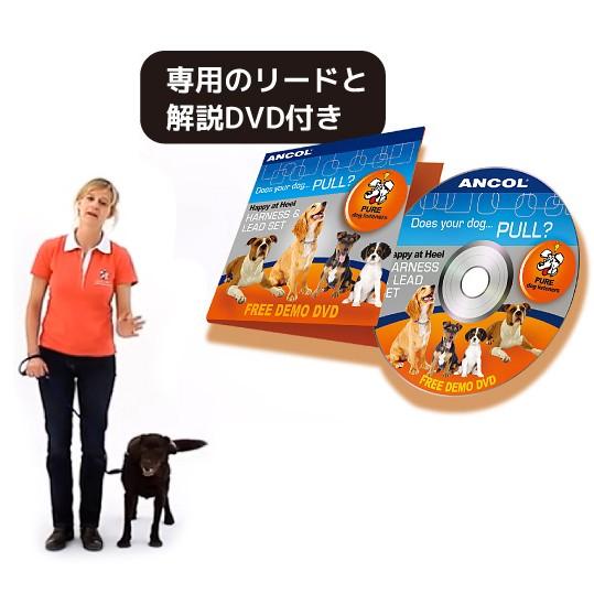 引っ張り防止 犬 ハーネス ラロック ハッピーヒールハーネス 愛犬の引っ張りを止めるトレーニングハーネス リード＆DVD付き メール便不可 |  | 10