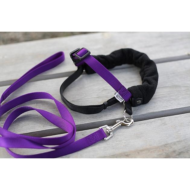 引っ張り防止 犬 ハーネス ラロック ハッピーヒールハーネス 愛犬の引っ張りを止めるトレーニングハーネス リード＆DVD付き メール便不可 |  | 12