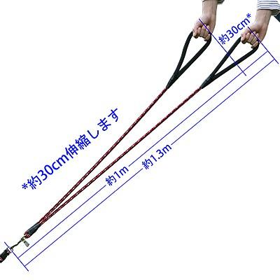 アウトレット 返品交換不可 犬 リード ラロック 反射するショックレスリード ロープタイプ 小・中型犬用リード メール便のみ送料無料 |  | 02