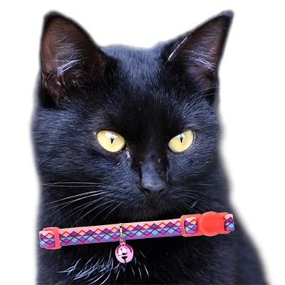 アウトレット 返品交換不可 猫 首輪 ラロック RALLOC アミコ アーガイル猫カラー 猫用首輪 メール便のみ送料無料 |  | 05